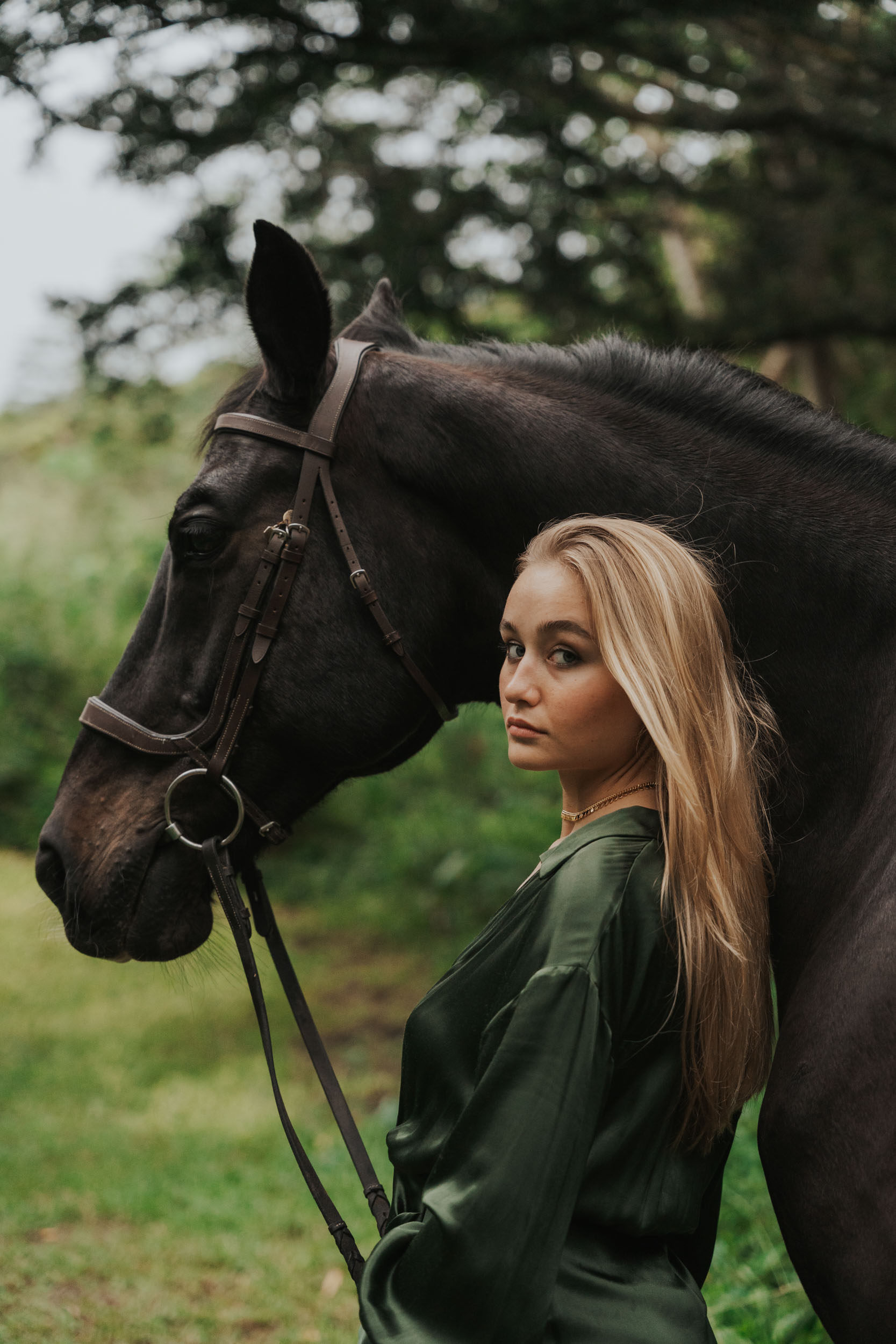 horse and rider portrait