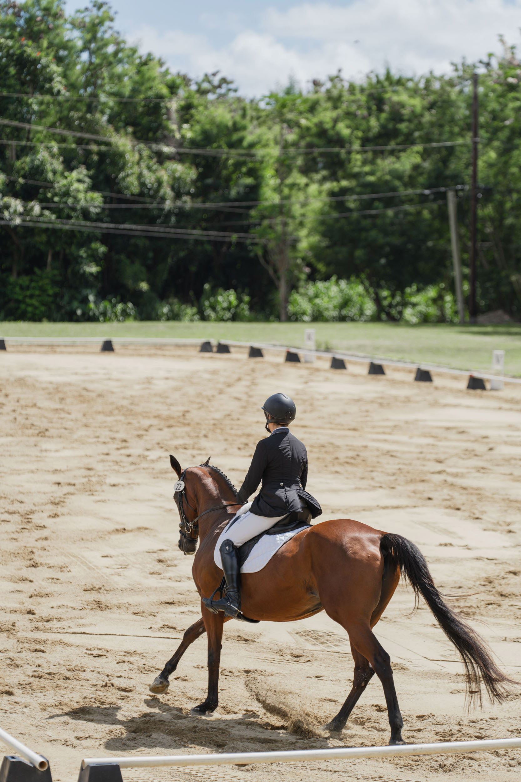 horse-show-slideshow-5