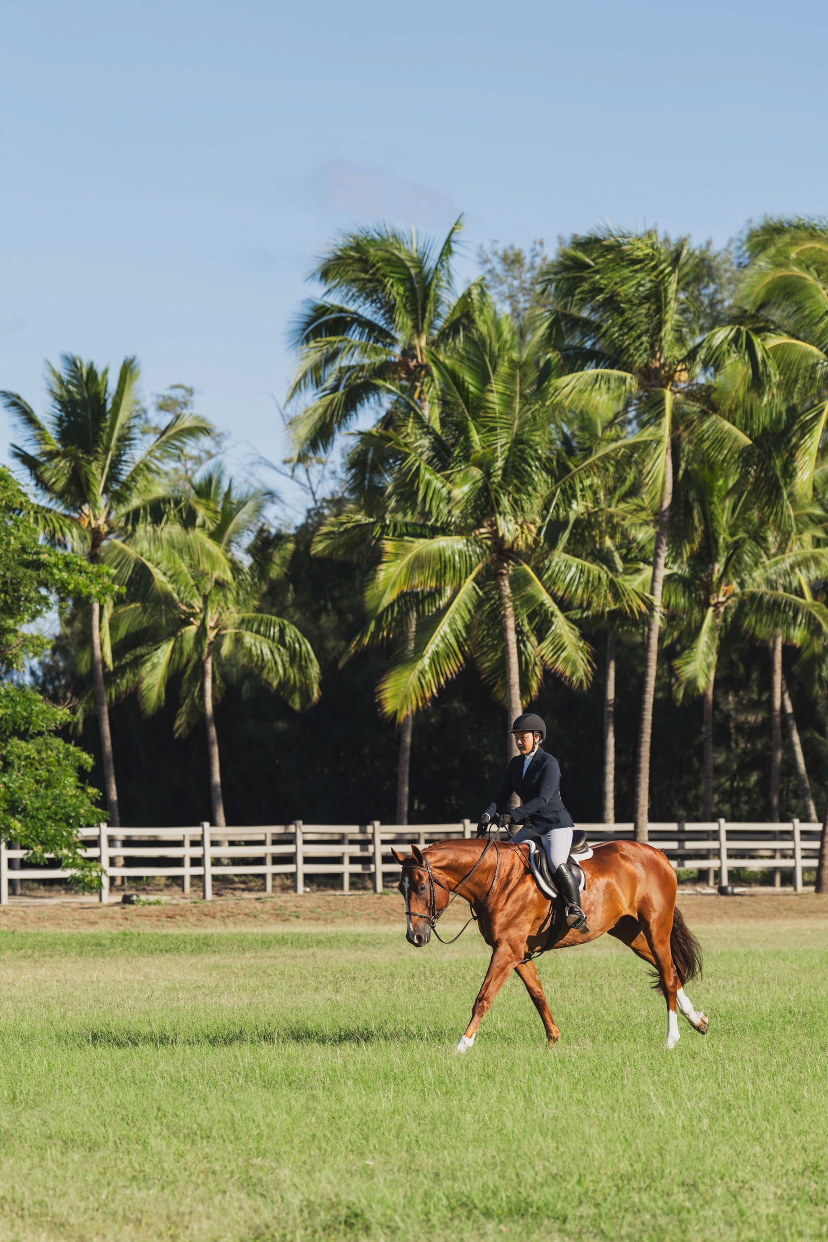 horse-show-slideshow-rachel-sloan